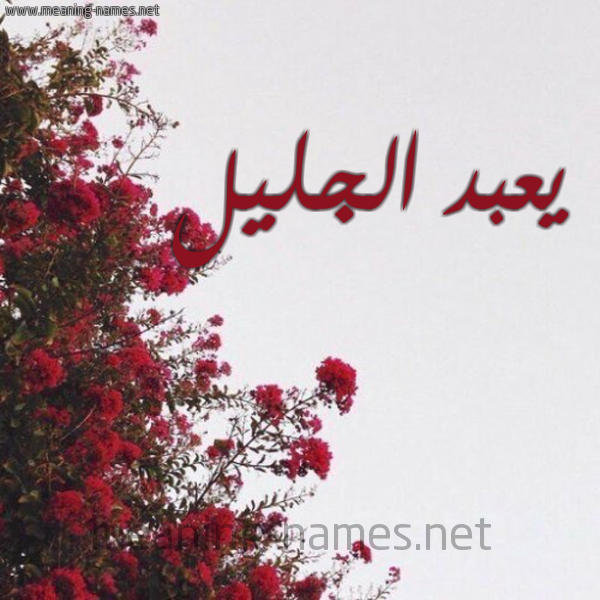 شكل 18 صوره الورد الأحمر للإسم بخط رقعة صورة اسم يعبد الجليل Abd-Aljalil